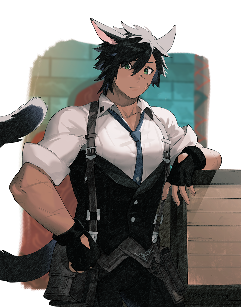 1boy, :/, animal_ears, avatar_(ff14), between_pectorals, black_gloves, black_hair, black_tail