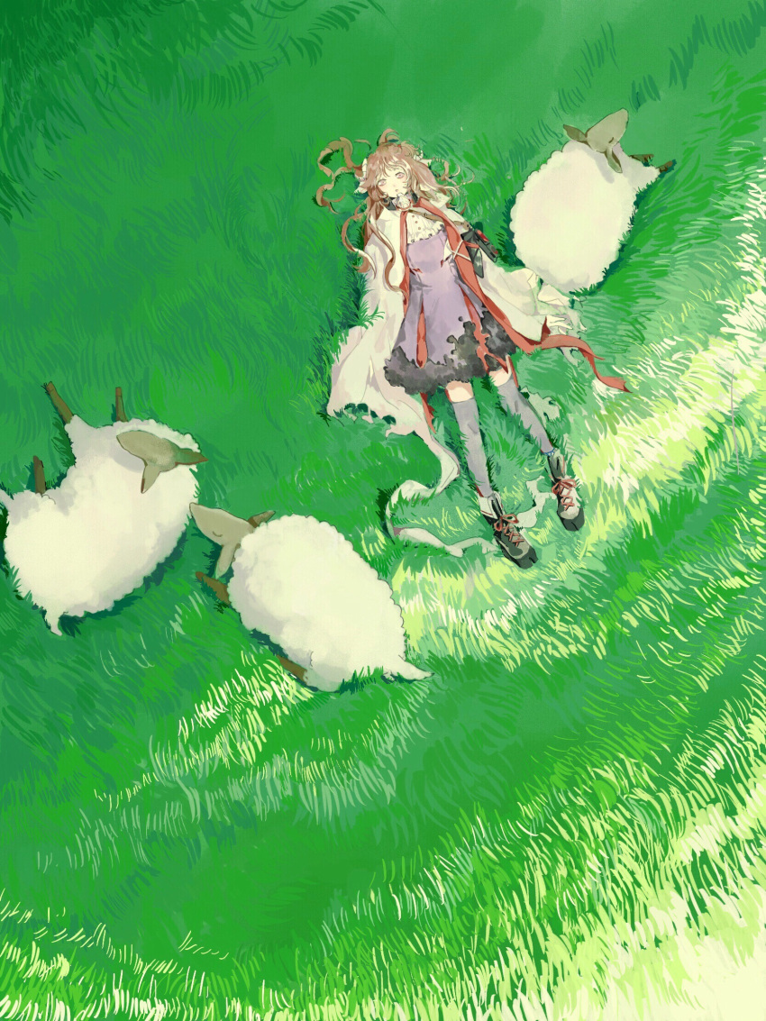 1girl, ahoge, animal, animal_ears, arknights, bangs, black_footwear, brown_hair