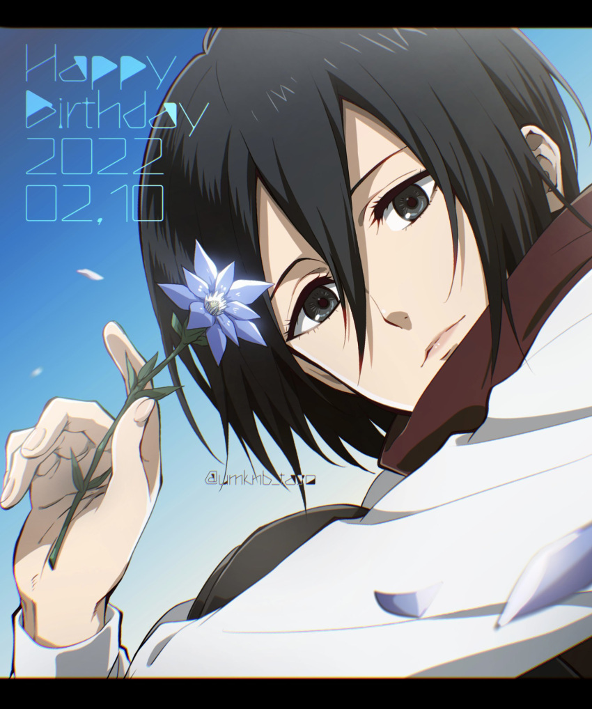 1girl, black_hair, blue_background, blue_flower, close-up, flower, grey_eyes, hair_between_eyes