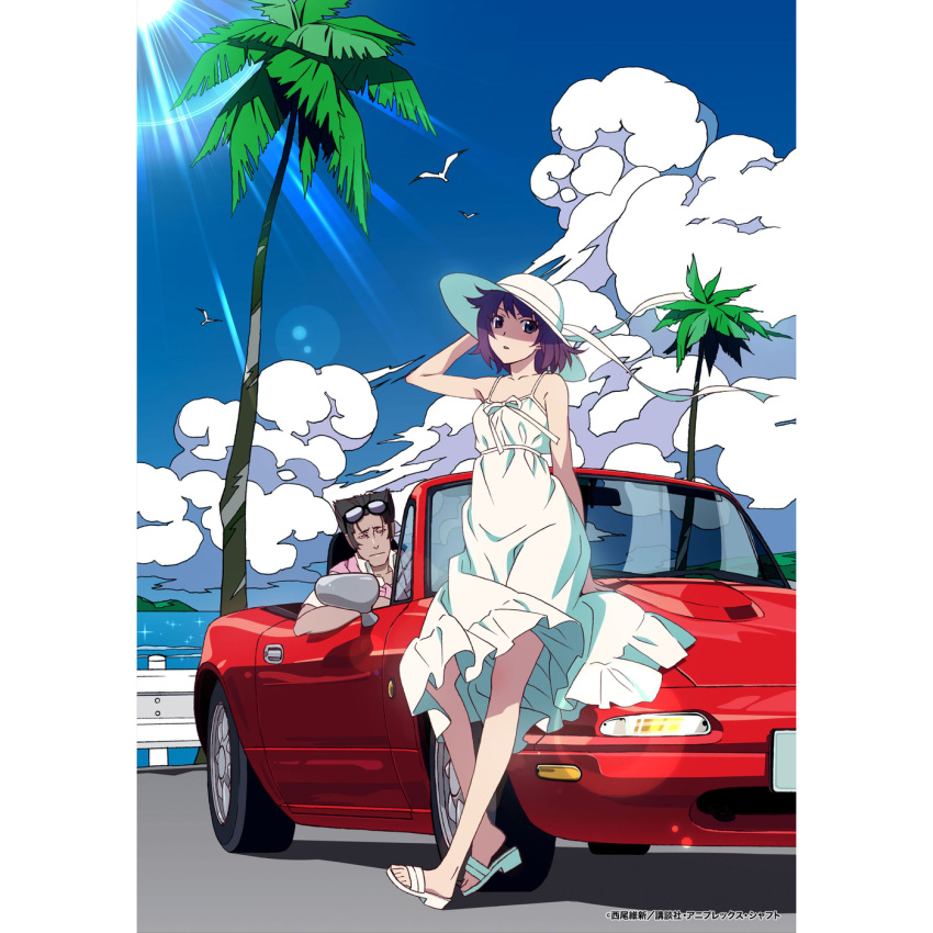1boy, 1girl, album_cover, arm_up, bird, blue_eyes, blue_sky, border