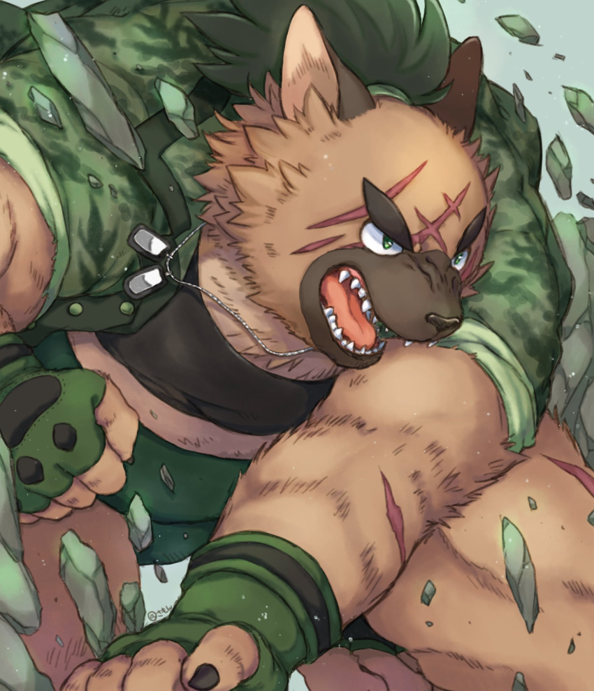 1boy, animal_ears, animal_nose, black_nails, black_shirt, brown_fur, camouflage, camouflage_jacket