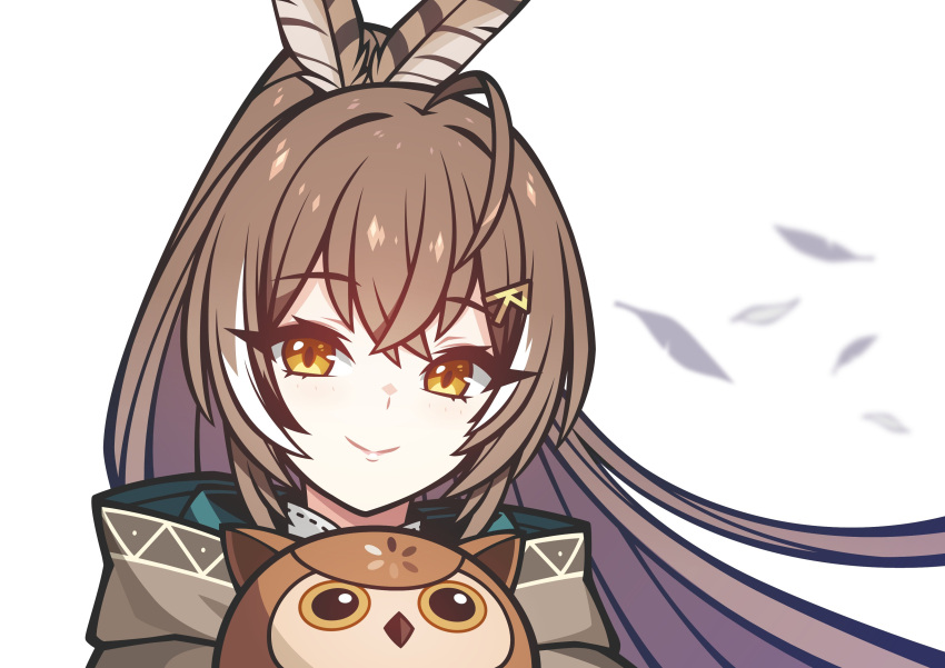 1girl, absurdres, ahoge, bacon_strips, bangs, bird, brown_capelet, brown_cloak
