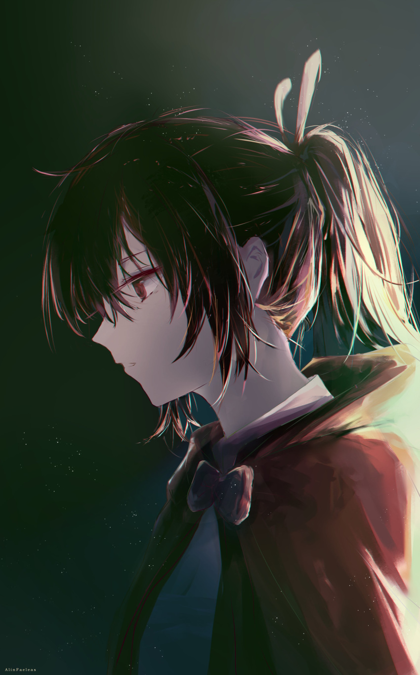 1girl, absurdres, alinfaeleas, bangs, brown_capelet, brown_cloak, brown_eyes, brown_hair