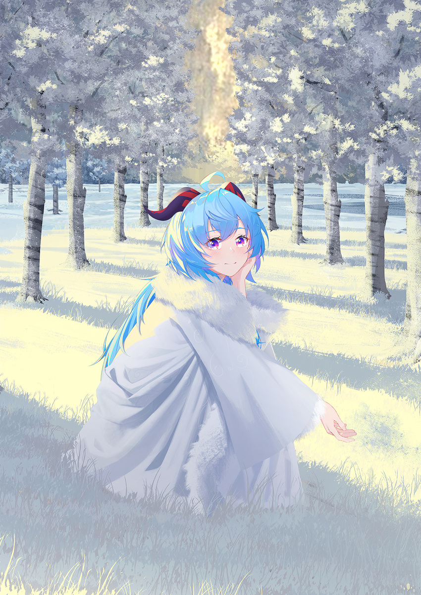 1girl, ahoge, bangs, blue_hair, fur_trim, ganyu_(genshin_impact), genshin_impact, grass