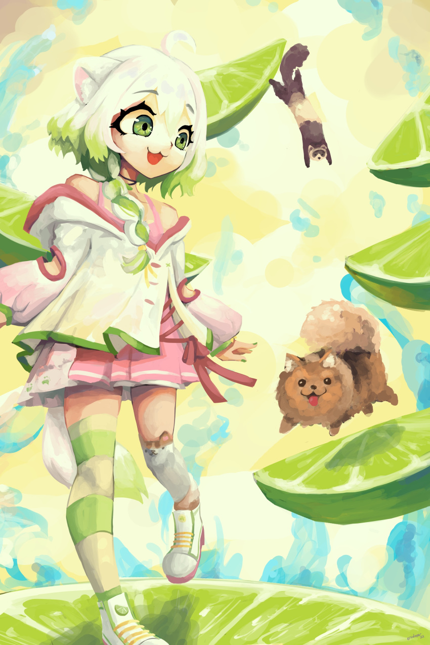 1girl, :3, absurdres, ahoge, animal, animal_ear_legwear, animal_ears, asymmetrical_legwear, braid, dog, english_commentary, erodozer, ferret, ferret_ears, ferret_girl, food, fruit, green_eyes, green_hair, green_thighhighs, highres, jacket, laimu_(vtuber), lime_(fruit), lime_slice, long_sleeves, looking_at_another, mismatched_legwear, multicolored_hair, nail_polish, namesake, open_mouth, pink_shirt, pomeranian_(dog), puffy_long_sleeves, puffy_sleeves, shirt, shoes, short_hair, single_sock, single_thighhigh, socks, solo, splashing, standing, striped, striped_thighhighs, tail, thigh-highs, two-tone_hair, vinesauce, virtual_youtuber, water, white_footwear, white_hair, white_jacket, white_thighhighs