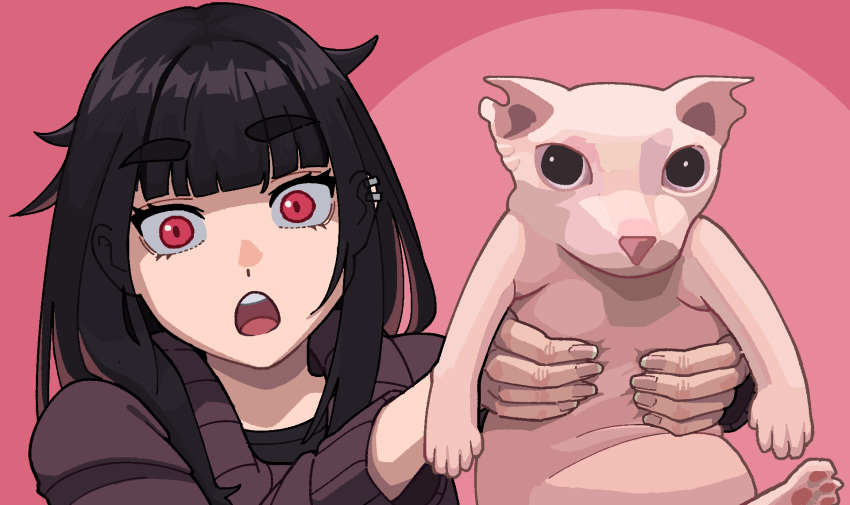 1girl, :o, animal, animal_ear_fluff, animal_ears, bangs, bingus, black_eyes, black_hair, blunt_bangs, calponpon, cat, cat_ears, cat_tail, claire_(calponpon), earrings, highres, holding, jewelry, long_hair, long_sleeves, looking_at_viewer, open_mouth, original, pink_background, red_eyes, simple_background, sweater, tail