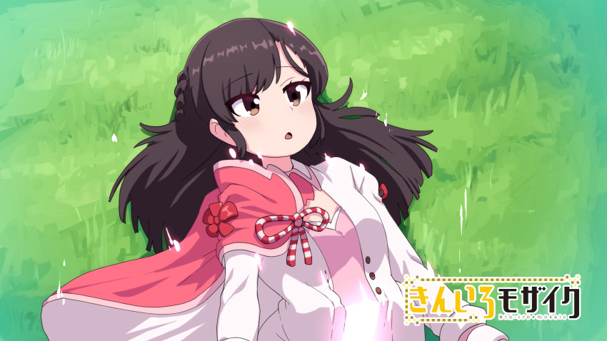 1girl, bangs, blush, braid, breasts, brown_eyes, brown_hair, chiyoda_sakura