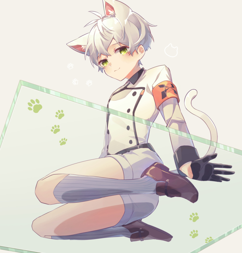 1boy, animal_ears, arknights, aruke0, bishounen, black_gloves, blush, cat_boy