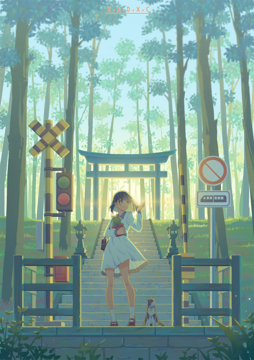 1girl, 809218622, absurdres, ahoge, black_hair, brown_footwear, cat, commentary_request