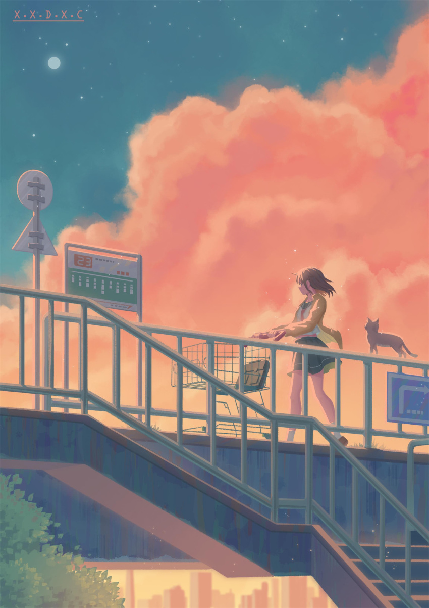 1girl, 809218622, absurdres, brown_hair, cardigan, cat, clouds, commentary_request