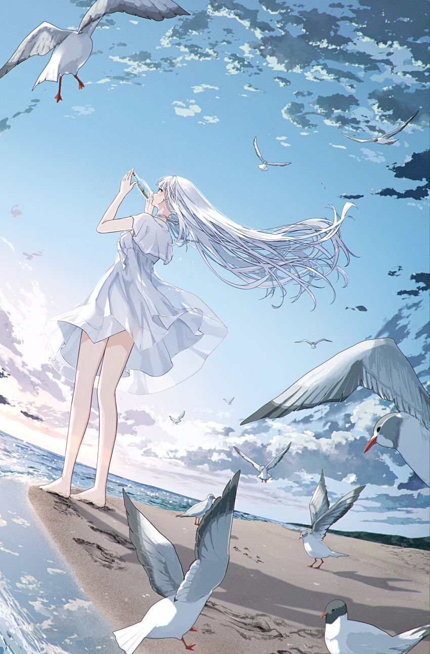 1girl, absurdres, bare_legs, barefoot, beach, bird, blue_sky, bottle