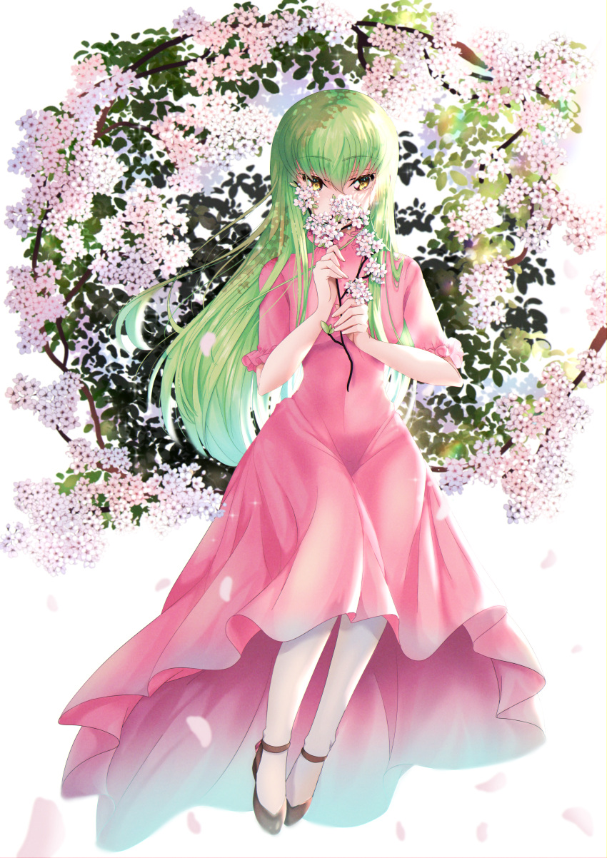 1girl, absurdres, bangs, black_footwear, budgiepon, c.c., code_geass, dress