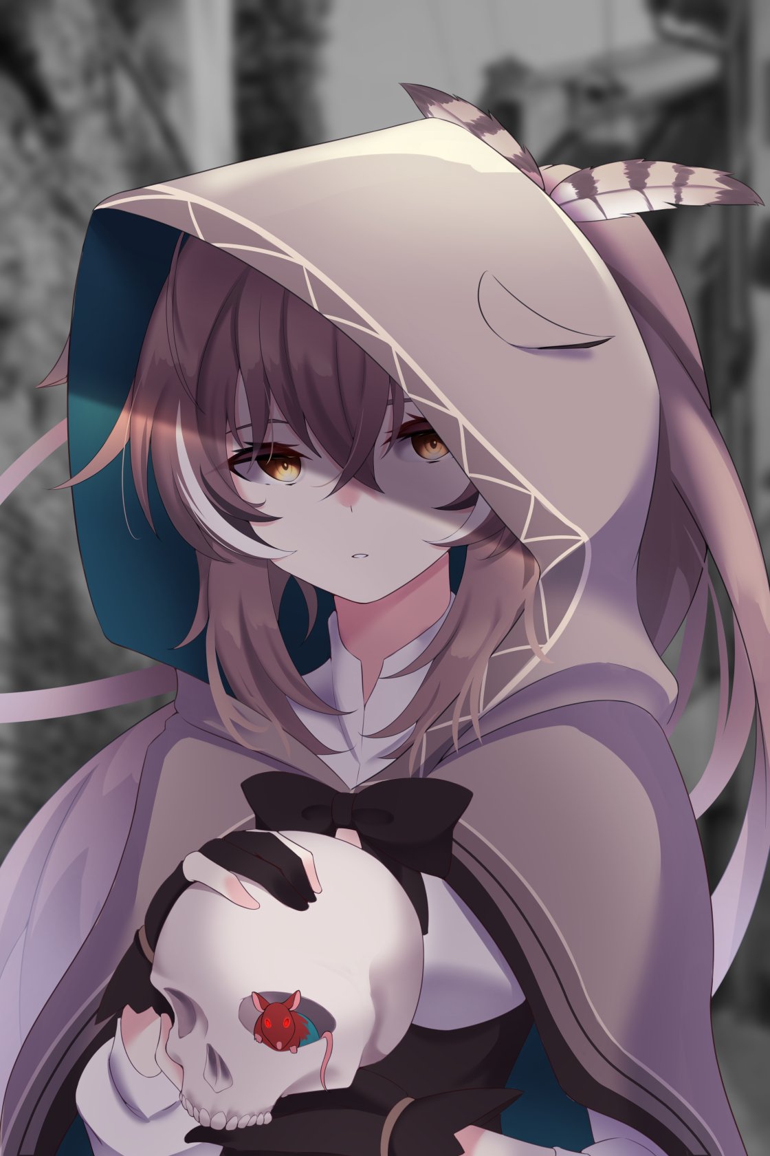 1girl, ahoge, bangs, brown_capelet, brown_cloak, brown_corset, brown_eyes, brown_hair