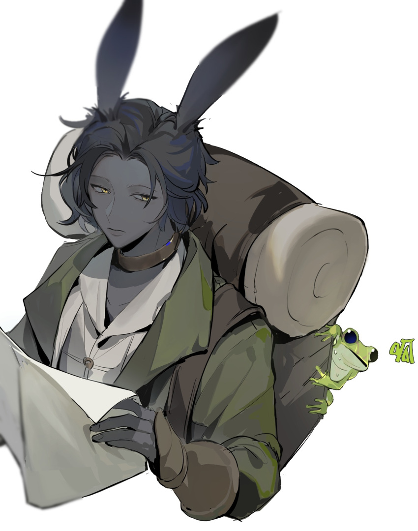 1boy, animal_ears, backpack, bag, black_hair, brown_collar, coat, collar