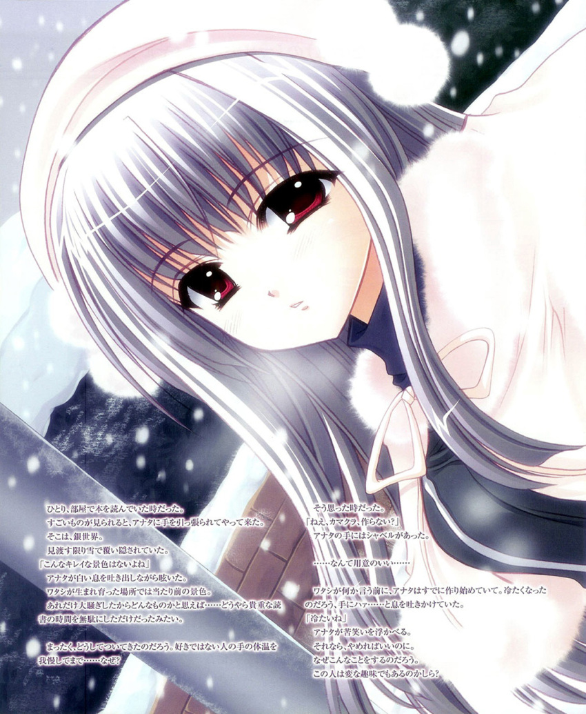 hidaka_yakumo, marriage_royale, nishimata_aoi, tagme
