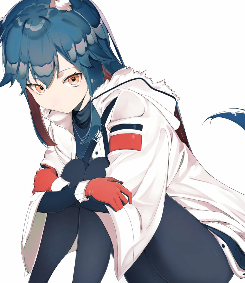 1girl, animal_ears, arknights, bangs, black_pantyhose, blue_hair, closed_mouth, coat