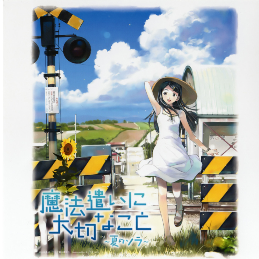 disc_cover, someday's_dreamers, someday's_dreamers_natsu_no_sora, suzuki_sora, yoshizuki_kumichi