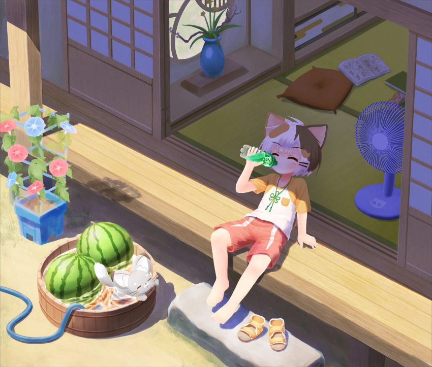 1boy, animal_ears, architecture, barefoot, bottle, brown_hair, cat_boy, cat_ears