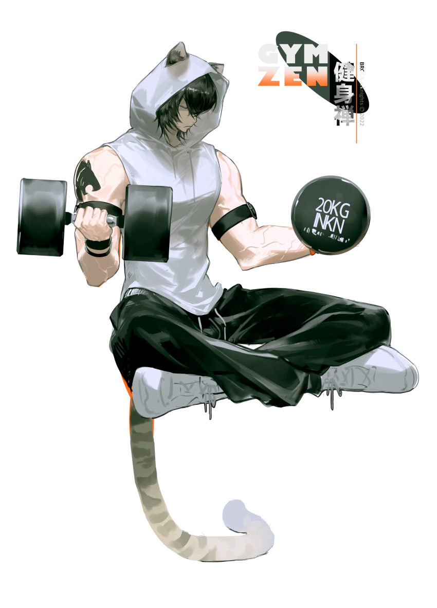 1boy, absurdres, animal_ears, arknights, bishounen, black_hair, broca_(arknights), crossed_legs