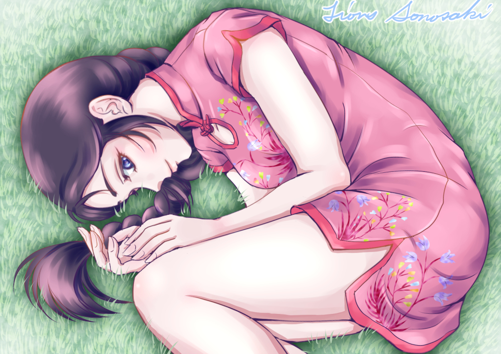 1girl, black_eyes, black_hair, braid, braided_ponytail, breasts, china_dress, china_minidress