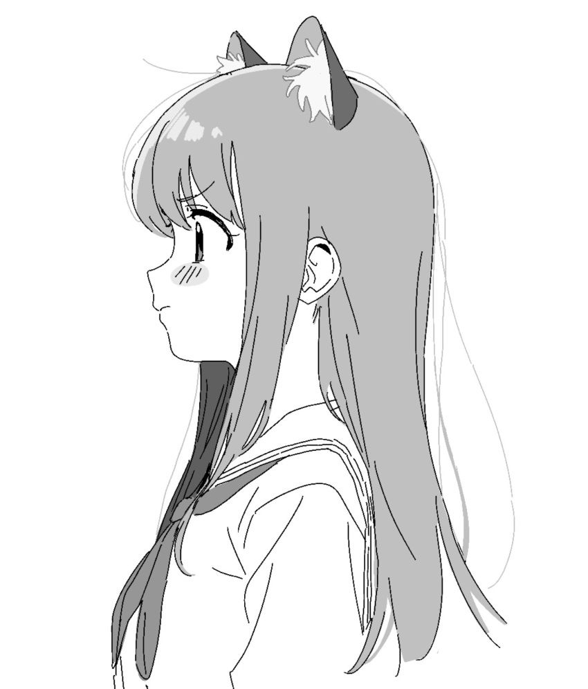 1girl, animal_ear_fluff, animal_ears, bangs, cat_ears, closed_mouth, greyscale, highres