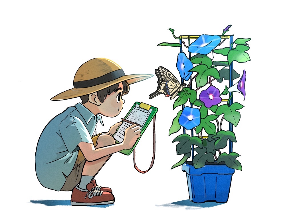 1boy, blue_flower, blue_shirt, board, brown_shorts, bug, butterfly, child