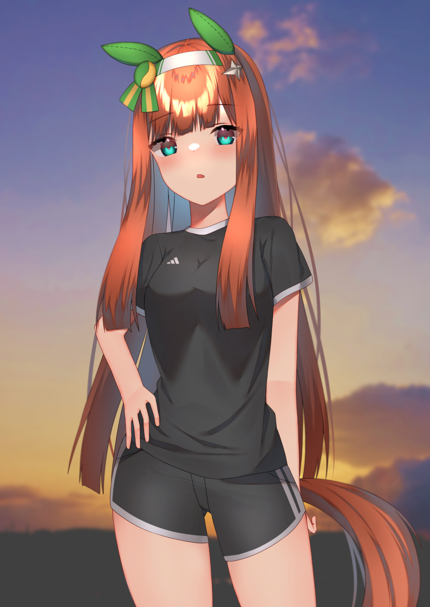 1girl, animal_ears, aqua_eyes, astroglia_cyte, bangs, black_shirt, black_shorts, blunt_bangs