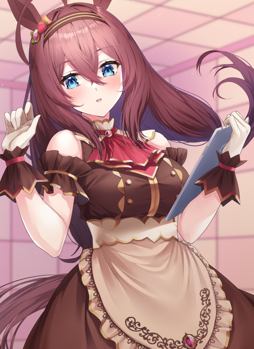 1girl, ahoge, animal_ears, apron, arm_scrunchie, ascot, bangs, blue_eyes