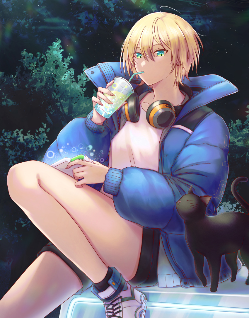 1boy, absurdres, alice_fiction, androgynous, black_cat, blonde_hair, blue_eyes, cat