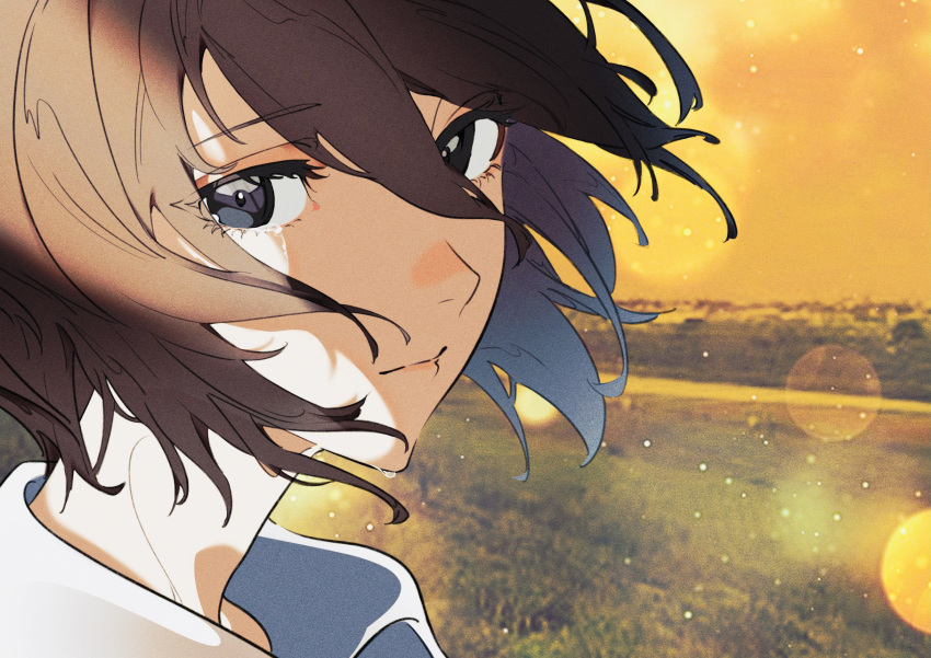1girl, brown_hair, close-up, closed_mouth, crying, crying_with_eyes_open, drawing_alpaca, eyelashes