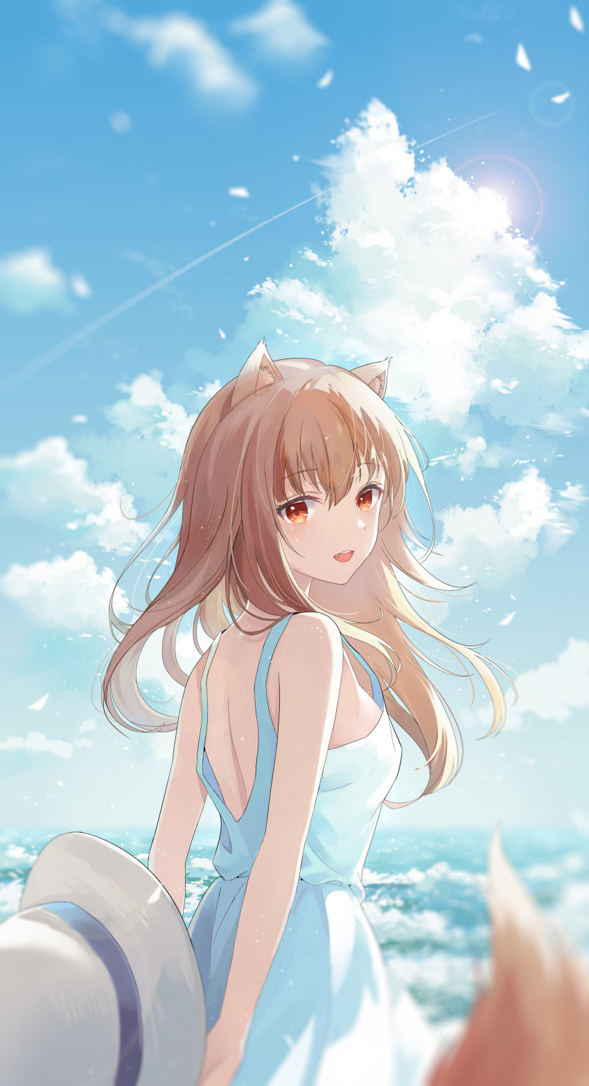 1girl, absurdres, animal_ears, brown_hair, clouds, contrail, dress, hat