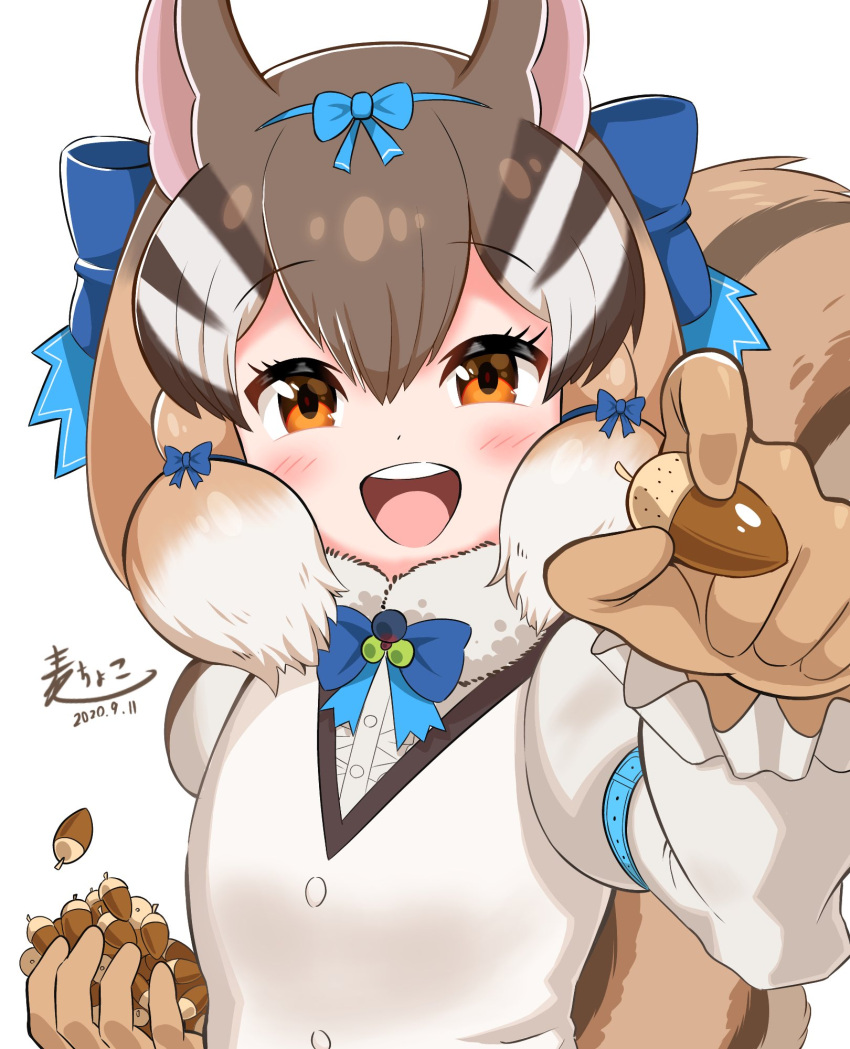 1girl, acorn, blue_bow, blue_bowtie, blush, bow, bowtie, brown_eyes, brown_gloves, brown_hair, brown_shirt, chipmunk_ears, chipmunk_girl, chipmunk_tail, commentary_request, gloves, hair_bow, highres, juliet_sleeves, kemono_friends, kemono_friends_v_project, light_brown_hair, long_sleeves, looking_at_viewer, mugichoko_(mugi_choco416), multicolored_hair, multicolored_shirt, open_mouth, pov, puffy_sleeves, reaching_out, shirt, short_hair, siberian_chipmunk_(kemono_friends), sidelocks, smile, solo, white_hair, white_shirt