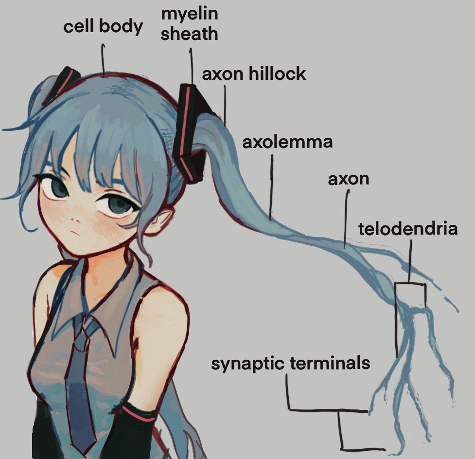 1girl, aqua_hair, bangs, blue_eyes, breasts, cell_(biology), closed_mouth, collared_shirt