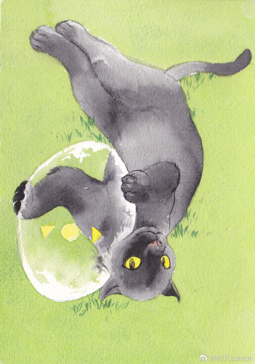 animal_focus, ball, black_cat, cat, colored_sclera, from_above, full_body, grass