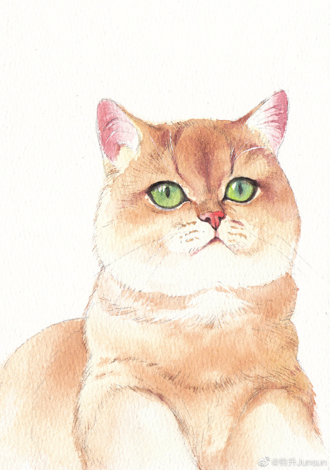 animal_focus, cat, colored_sclera, full_body, green_sclera, highres, junsun, looking_at_viewer