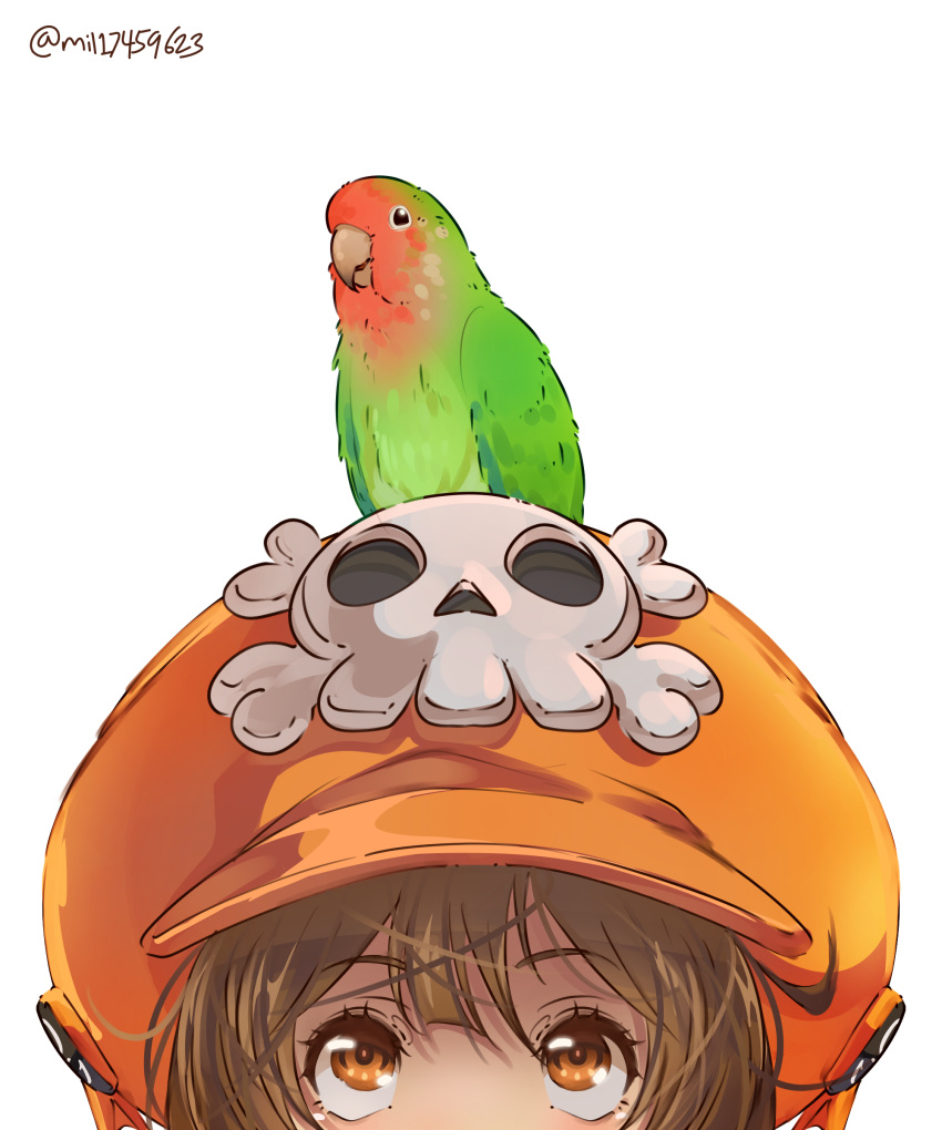 1girl, absurdres, animal, animal_on_head, bird, brown_eyes, brown_hair, guilty_gear