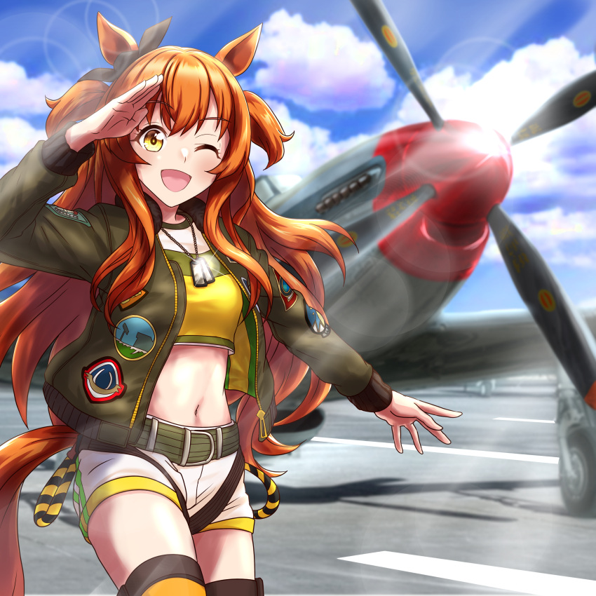 1girl, absurdres, aircraft, airfield, airplane, animal_ears, bangs, bomber_jacket