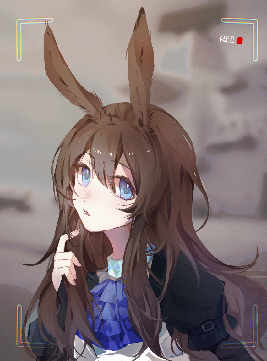 1girl, absurdres, alternate_hairstyle, amiya_(arknights), animal_ears, arknights, ascot, black_jacket