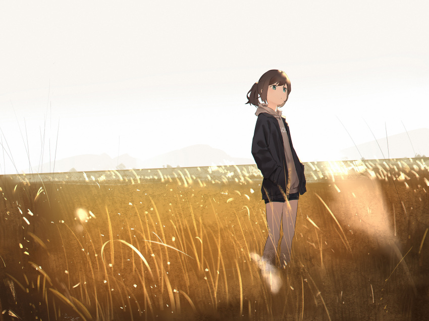 1girl, absurdres, bangs, blue_eyes, brown_hair, expressionless, field, grass