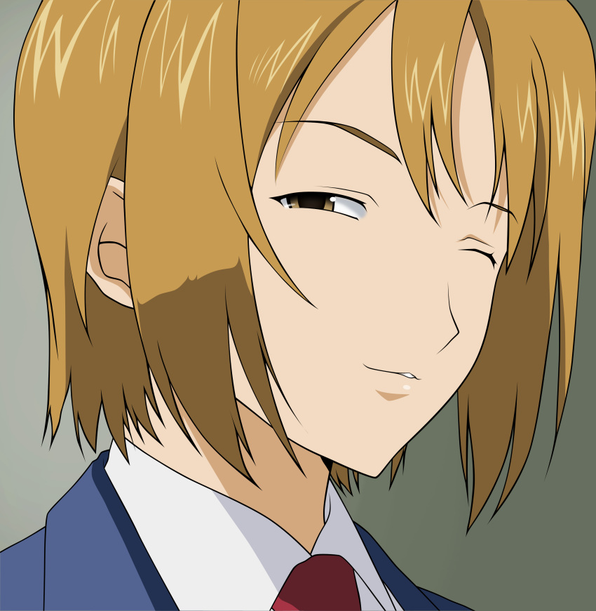 hayami, minami-ke, tagme, vector