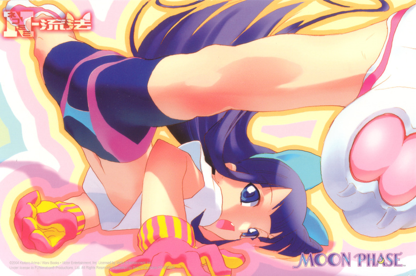 animal_ears, arched_back, bike_shorts, blue_eyes, blue_hair, cat_ears, fang, gloves