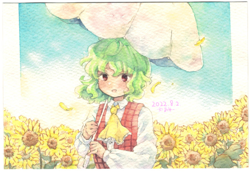 1girl, ascot, buttons, collared_shirt, dated, field, flower, flower_field