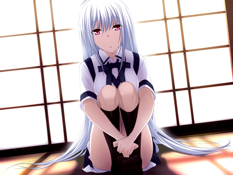 1girl, backlighting, bangs, black_socks, blue_ribbon, collared_shirt, dutch_angle, game_cg