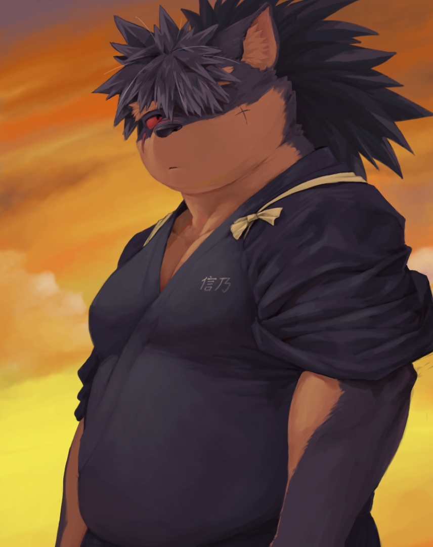 1boy, animal_ears, animal_nose, black_fur, brown_fur, colored_sclera, commentary, dog_boy