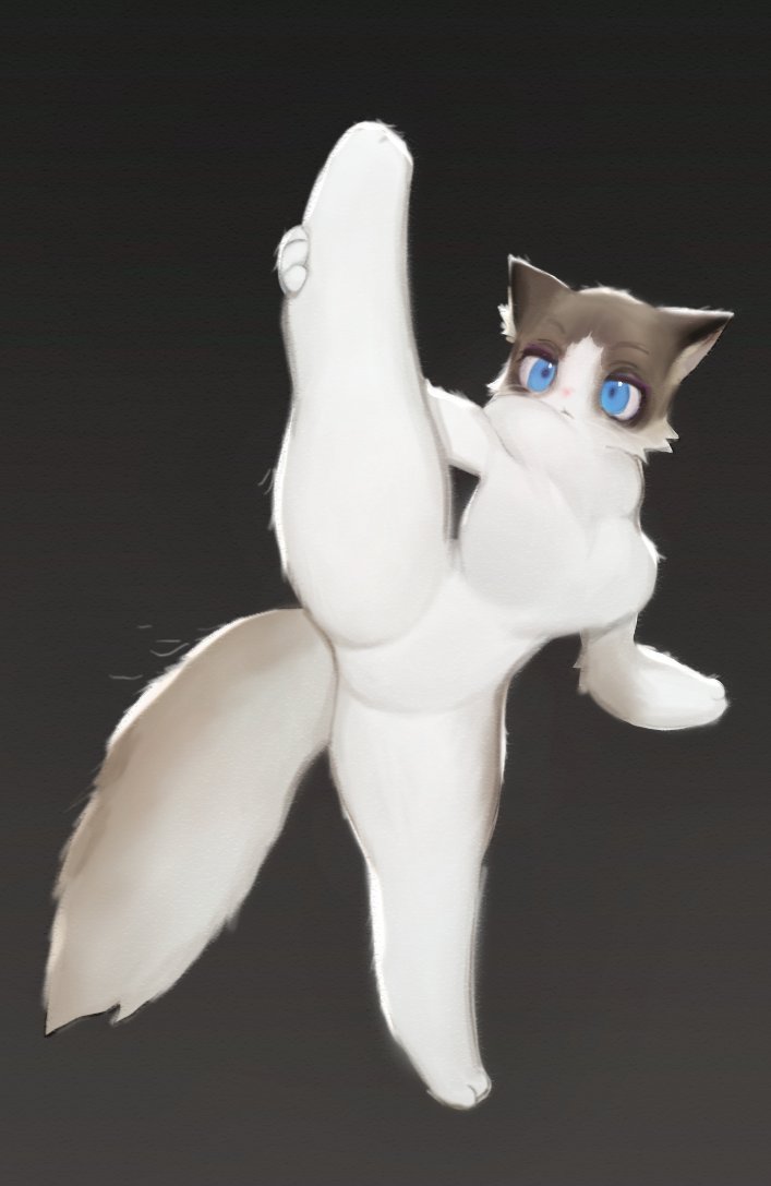 blue_eyes, breasts, cat, furry, furry_female, holding_leg, leg_up, medium_breasts