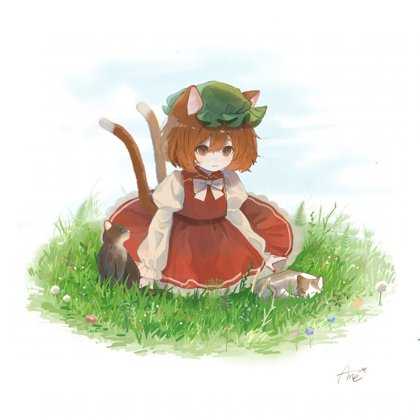 1girl, absurdres, amedama_ameme, animal_ears, bangs, bow, bowtie, brown_eyes, brown_hair, cat, cat_ears, cat_girl, cat_tail, chen, closed_mouth, commentary, dress, flower, full_body, grass, green_headwear, hat, highres, juliet_sleeves, long_sleeves, medium_hair, mob_cap, multiple_cats, multiple_tails, puffy_sleeves, red_dress, shirt, signature, sitting, solo, symbol-only_commentary, tail, touhou, two_tails, white_background, white_bow, white_bowtie, white_shirt