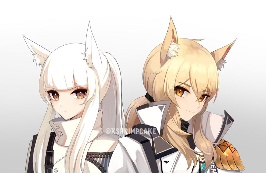 2girls, animal_ear_fluff, animal_ears, arknights, armor, bangs, blunt_bangs, brown_eyes
