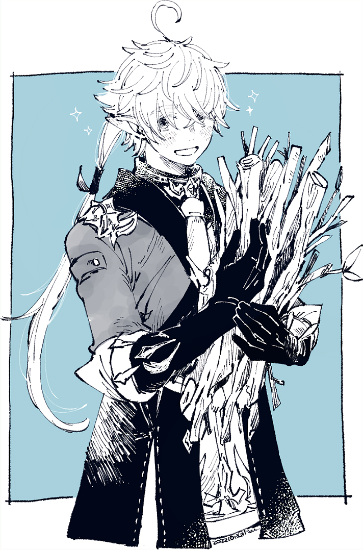 1boy, ahoge, alphinaud_leveilleur, bangs, black_gloves, blue_background, blue_coat, border