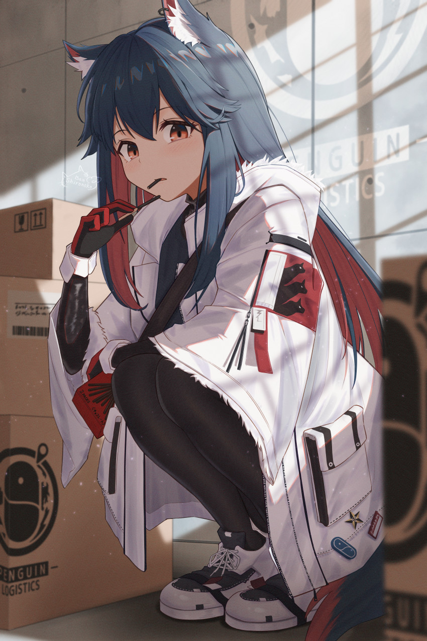 1girl, animal_ear_fluff, animal_ears, arknights, black_hair, black_pantyhose, box, cardboard_box