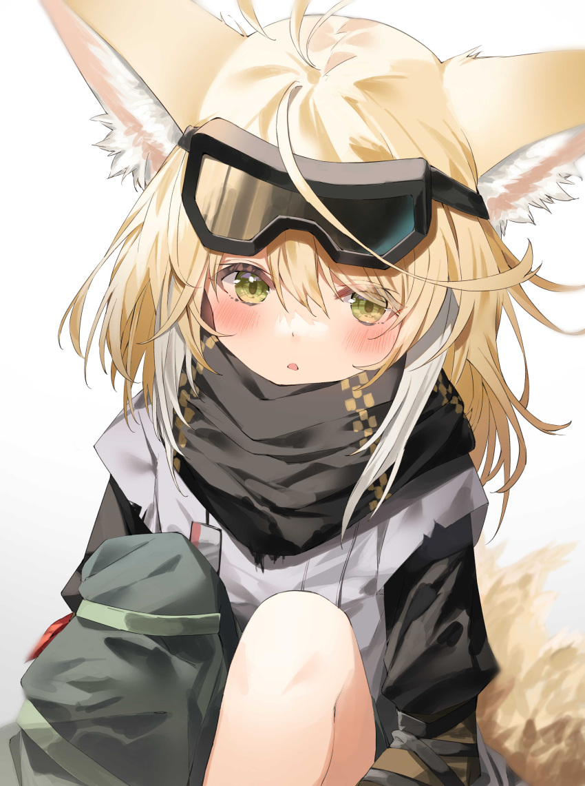 1girl, absurdres, animal_ear_fluff, animal_ears, arknights, asymmetrical_pants, bangs, black_scarf